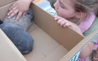 Pomôžte Janke s rodinou udržať strechu nad hlavou