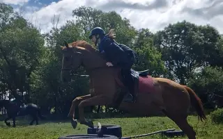 Buď pri zrode jazdeckého klubu Equestrian Elite!