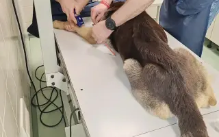 Pomôžte nám udržať  Farmu Happy - bezpečné miesto pre zvieratá