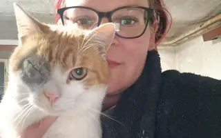 Pomôžte nám postaviť bezpečnú voliéru pre mačky bez domova