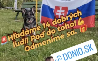 Podporme slovenské záchranárske psy na Majstrovstvách sveta 2026 v Slovinsku!