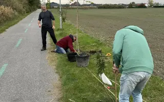 SadímeStromy: Posadíme 100 stromov každý rok