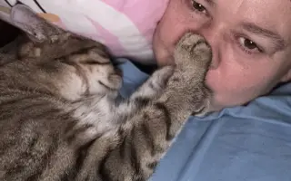 Podporte rozšírenie depozitu pre mačičky z ulice