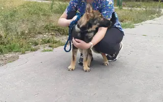 Pomôžme Anete dokončiť štúdium a stať sa veterinárkou