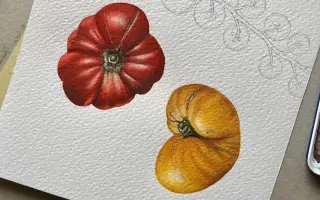 Kniha "Maľovaná zelenina" | ukážme deťom skutočnú zeleninu :)