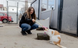 Staň sa záchrancom mačacích životov v OZ Pomoc pre zvieratká