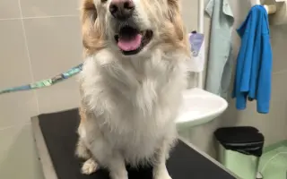 Pomôžte nám dať Dukovi šancu na ďalšie spoločné dni