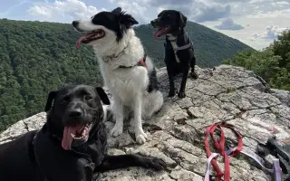 Darujme Benjimu nový život bez bolesti