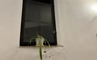 Darujte nové okná nášmu chrámu v Markovciach