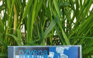 Podpor vydanie nového CD tramp-folkovej kapely OZVENA, jeho kúpou v predpredaji