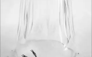 Wild poppy ceramics | Podpor kúpu šnekovacieho lisu na recykláciu hliny