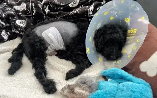 Pre Kyrka, ktorý bojuje s vážnou rakovinou