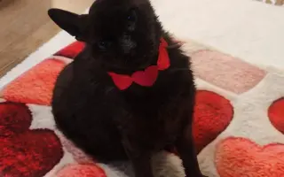 Laruška bojuje o život – pomôžme jej zvíťaziť nad bolesťou