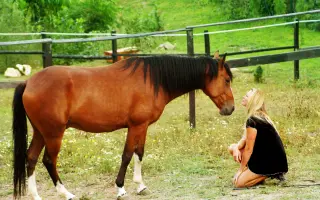 Horský Ranč – domov pre zvieratá, ktoré nikto nechcel