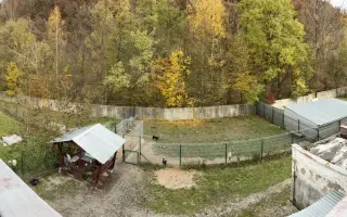 Hnúšťanské labky| Získajte kalendár za dobrý skutok pre opustené psíky