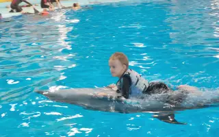 Pomôžme Petríkovi ísť na delfinoterapiu, ktorá mu pomohla otvoriť sa svetu