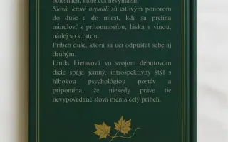 Podporte vydanie knihy Slová, ktoré nepadli