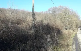 Zachráňme 200-ročný dub a vytvorme EKOCENTRUM POD DUBOM. Zelená hliadka Pezinok