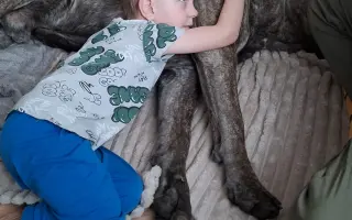 Pomôžme Jankovi dobehnúť rovesníkov