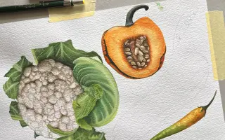 Kniha "Maľovaná zelenina" | ukážme deťom skutočnú zeleninu :)