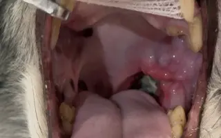 Pomôžme Filipkovi v boji s nádorom