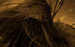 Staň sa súčasťou a zároveň podporovateľom môjho filmu ,,Možno dopadneme,,