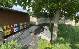 Staňte sa súčasťou príbehu Michalove včely