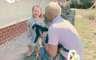 Podporili ste vydanie knihy Andreja Dúbravského Alica a hmyz