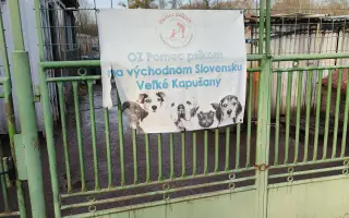 Pomôžte nám vyrobiť búdy pre psíkov v útulkoch