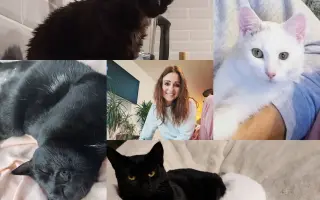 Pomôžme Mačičkám u Larky zvládnuť náročné obdobie