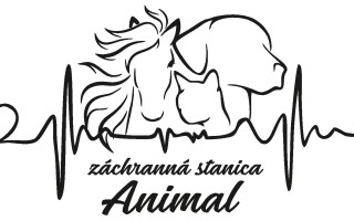 Pomôžte nám odkúpiť raj pre OZ Záchranná stanica ANIMAL a zvieratká v nej