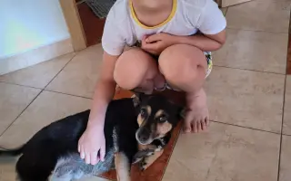 Pomôžme Dáriuskovi bojovať s PANDAS syndrómom