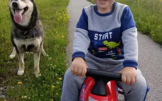 Pomôžme Lukáškovi s terapiami, zubárom a základnými potrebami
