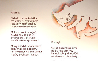 Pomôžme vydať knižku pre deti v rusínskom jazyku