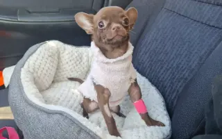 Darujme Lujze plnohodnotný život