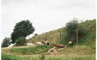 Festival Zrkadlenie: Kultúra a zraniteľnosť mizne... oživme ju spolu v prírode!