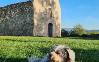 Pomôžte Stelke v boji s onkologickým ochorením Pomôžte Stelke v boji s onkologickým ochorením