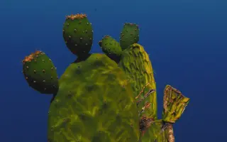 Podporte vydanie LP platne Ota Hudeca Songs for the Prickly Pear