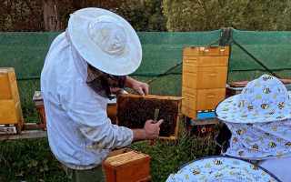 Pomôž nám oživiť starú maringotku a spoznaj čarovnú silu včiel