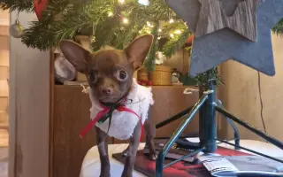 Darujme Lujze plnohodnotný život