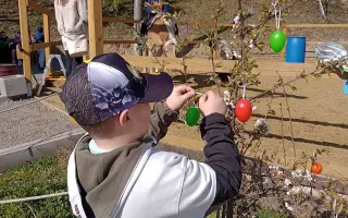 Pomôžme Dávidkovi pokračovať v ceste za pokrokmi a doprajme mu delfinoterapiu
