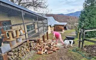 Horský Ranč – domov pre zvieratá, ktoré nikto nechcel