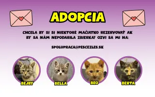 Zo starej stodoly vytvoríme MŇAUČÍN!