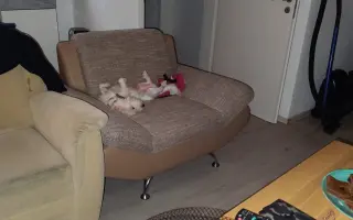 Pomôžme Lackymu vrátiť sa domov