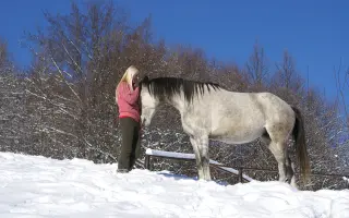 Horský Ranč – domov pre zvieratá, ktoré nikto nechcel