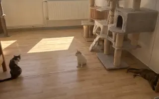 Pomôžme zakúpiť klimatizáciu pre OZ Púchovské labky