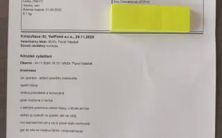 Laruška bojuje o život – pomôžme jej zvíťaziť nad bolesťou