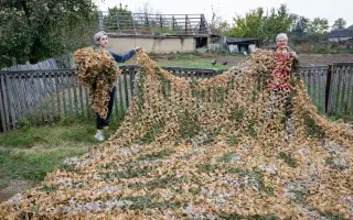 Pošli obrancom Ukrajiny zimné maskovacie siete