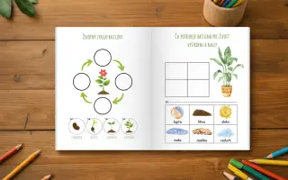 Pracovné zošity pre deti, ktoré dávajú zmysel – pomôžte ich vytlačiť
