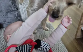 Pomôžme Hane splniť sen o vlastnej rodine